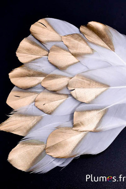 Blütenblätter aus Federn - 6-8 cm x 3-4 cm- weiss-gold-träne